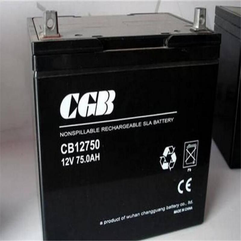 如何给CGB蓄电池充电